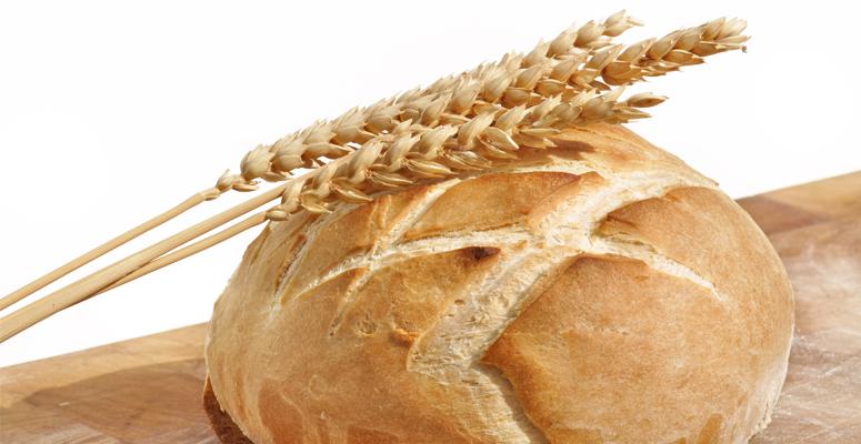 Brood 1 - wit brood basis