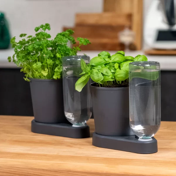 Herbimizer® | Kruidenpot met automatisch irrigatiesysteem - Afbeelding 3
